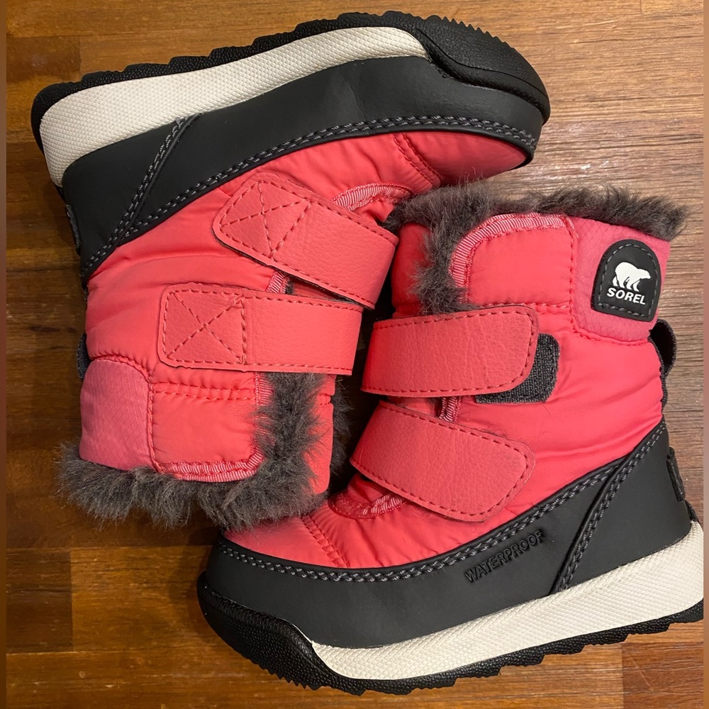 Sorel Whitney II Toddler Snow Boots, 6c, Tropic Pink